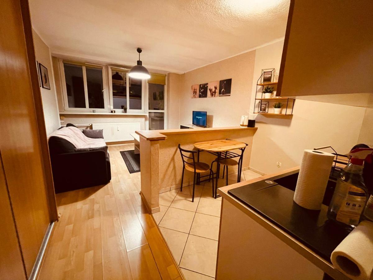 Apartamenty Ktw Park Slaski Luksusowy Prl Katowice Kültér fotó